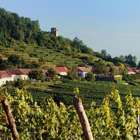 Prabatsch-Aichinger Winzergut Apartment Лангенлоис Екстериор снимка
