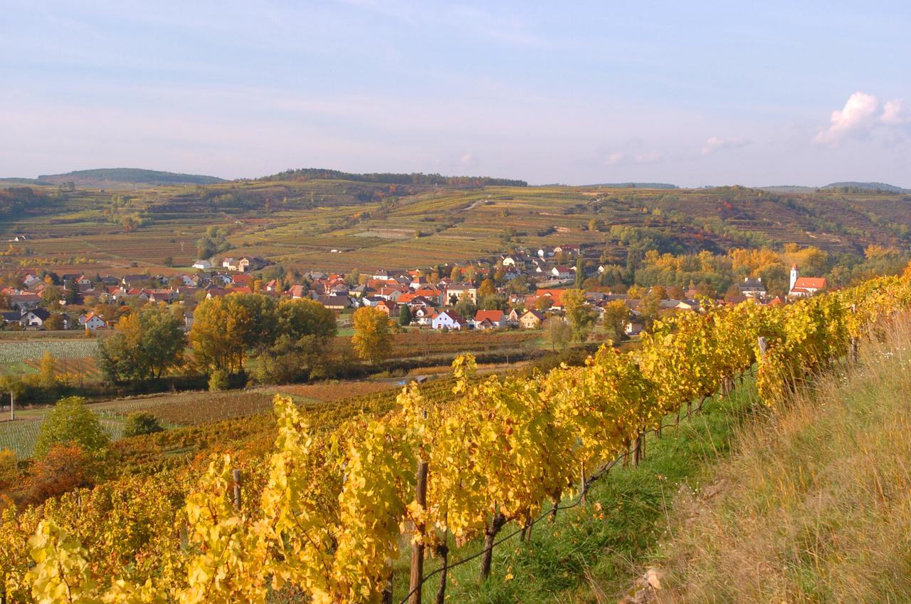 Prabatsch-Aichinger Winzergut Apartment Лангенлоис Екстериор снимка