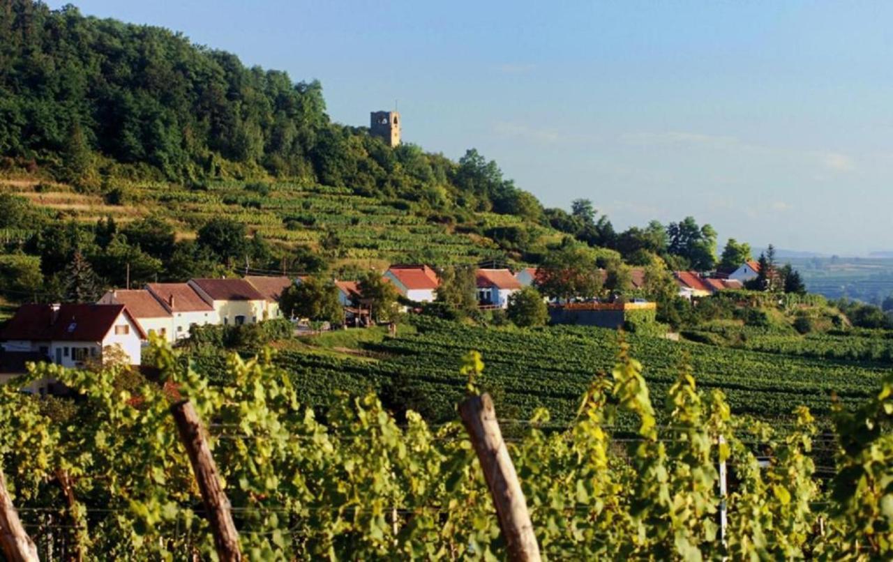 Prabatsch-Aichinger Winzergut Apartment Лангенлоис Екстериор снимка